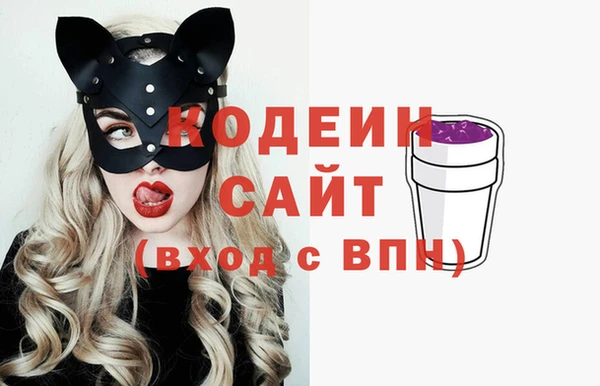 индика Арсеньев