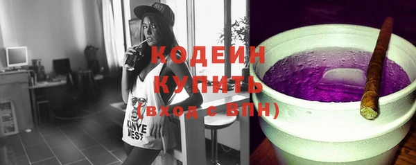 индика Арсеньев