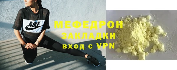индика Арсеньев