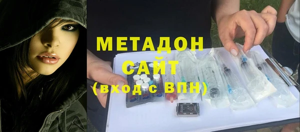 индика Арсеньев