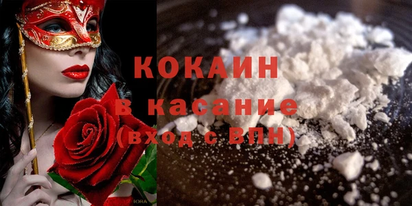индика Арсеньев