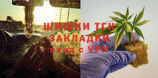 индика Арсеньев