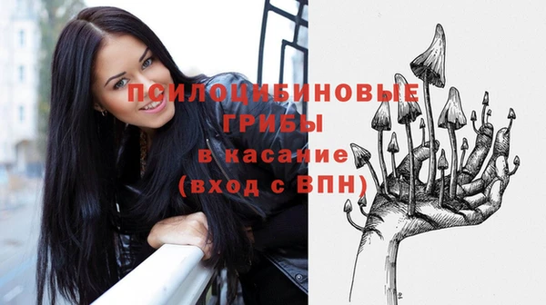 ECSTASY Армянск