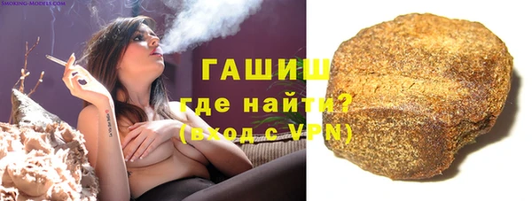 индика Арсеньев