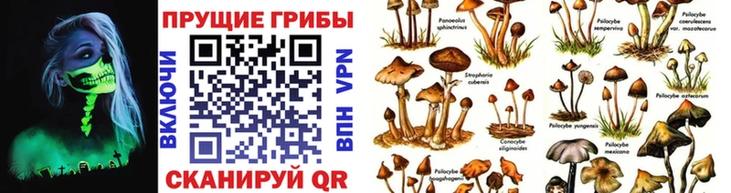 Галлюциногенные грибы ЛСД Бавлы